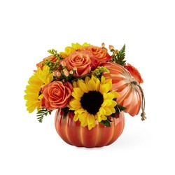 The FTD Harvest Traditions Pumpkin 
